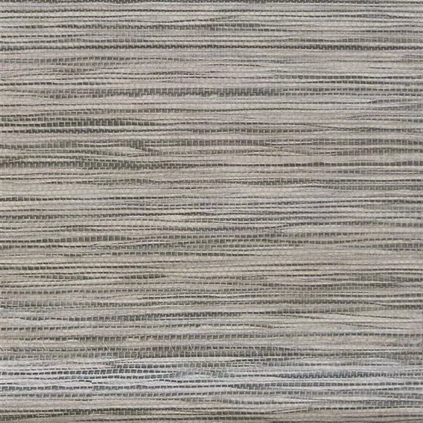 Lumi Home Furnishings 48-in x 72-in Taupe Light Filtering Cordless Indoor Roller Shade