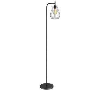 Fine Art Lighting Ltd. 62-in Black Wire Cage Floor Lamp