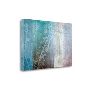 Tangletown Fine Art Ethereal Frameless 20-in H x 29-in W Abstract Canvas Print