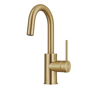 Kraus Oletto Brushed Brass 1-handle Deck Mount Bar and Prep Residential Kitchen Faucet