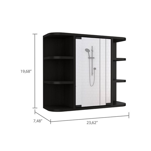 FM Furniture Valdez 23.6-in x 19.7-in Black Mirrored Rectangle Medicine Cabinet