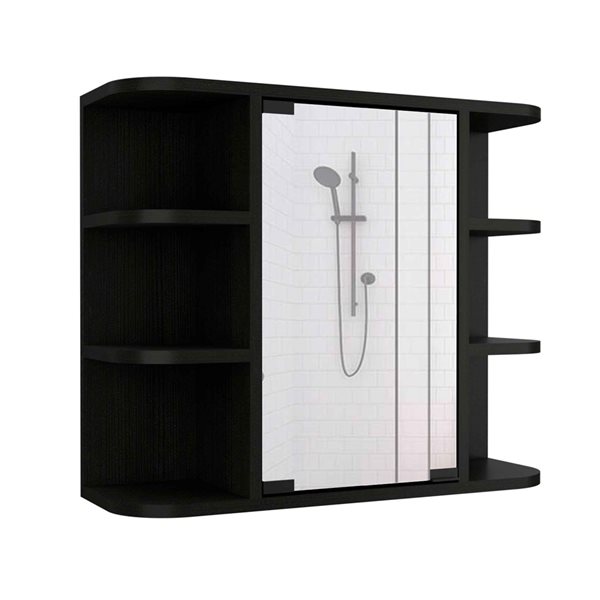 FM Furniture Valdez 23.6-in x 19.7-in Black Mirrored Rectangle Medicine Cabinet