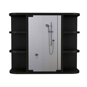 FM Furniture Valdez 23.6-in x 19.7-in Black Mirrored Rectangle Medicine Cabinet