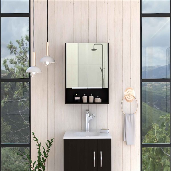 FM Furniture Ozark 23.6-in x 24.6-in Black Mirrored Rectangle Medicine Cabinet