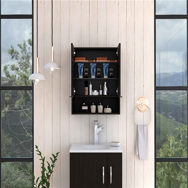 FM Furniture Ozark 23.6-in x 24.6-in Black Mirrored Rectangle Medicine Cabinet