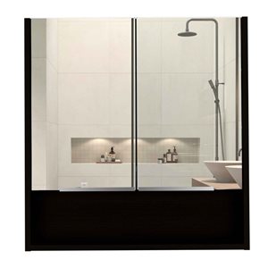 FM Furniture Ozark 23.6-in x 24.6-in Black Mirrored Rectangle Medicine Cabinet