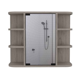 FM Furniture Valdez 23.6-in x 19.7-in Light Grey Mirrored Rectangle Medicine Cabinet