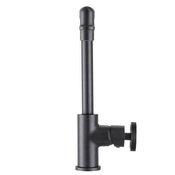 Ancona Urban Matte Black 1-Handle Single Hole Bathroom Sink Faucet