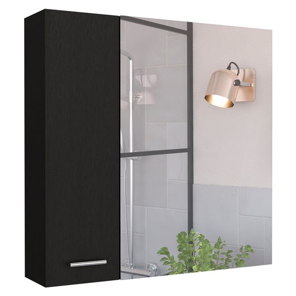 FM Furniture Kenya 24-in x 24-in Recessed Black Mirrored Rectangle Medicine Cabinet