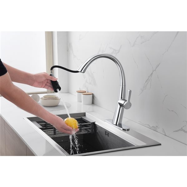 Westmount Waterworks Delfino Polished Chrome 1-Handle Deck Mount Pull-Down Handle/Lever Kitchen Faucet with Deck Plate