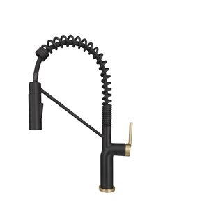 Stylish Tivoli Matte Black/Gold 1-Handle Deck Mount High-Arc Handle/Lever Commercial/Residential Kitchen Faucet