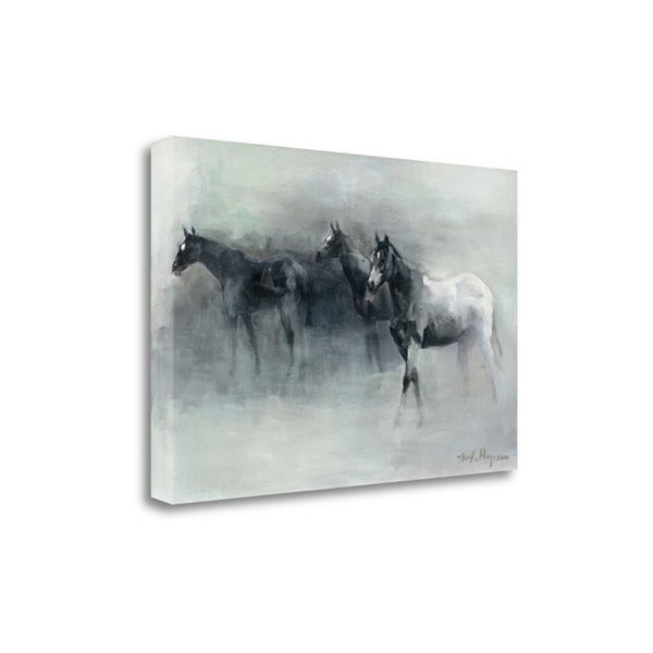 Tangletown Fine Art “In the Mist” Frameless 26-in H x 39-in W Abstract Canvas Print