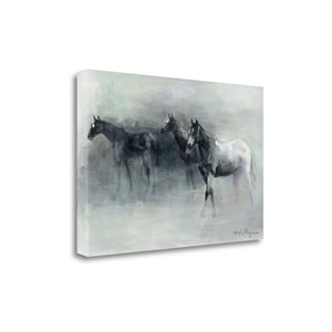 Tangletown Fine Art “In the Mist” Frameless 26-in H x 39-in W Abstract Canvas Print