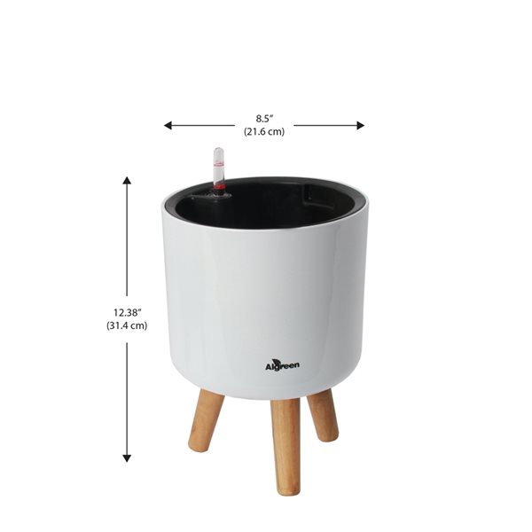 Algreen Products 8.5-in x 12.75-in Gloss White Plastic Self-Watering Planter