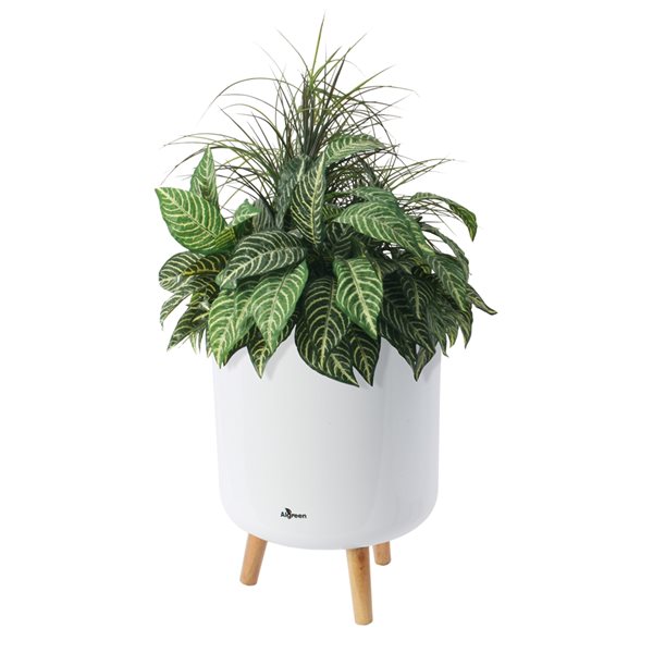 Jardinière auto-irrigante en plastique blanc brillant par Algreen Products de 10,75 po x 15,25 po