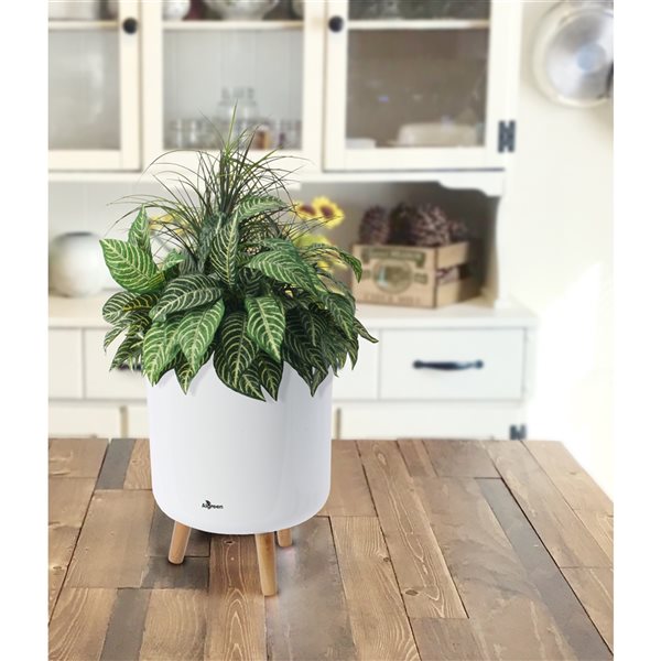 Jardinière auto-irrigante en plastique blanc brillant par Algreen Products de 10,75 po x 15,25 po
