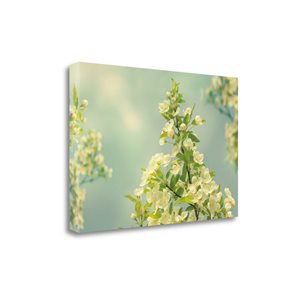 Tangletown Fine Art Frameless 20-in x 29-in "Spring Beauty II" by Sue Schlabach Canvas Print
