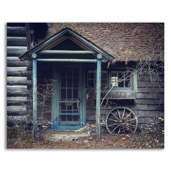 Tangletown Fine Art “Door to the Past” Frameless 16-in H x 20-in W Photography Canvas Print