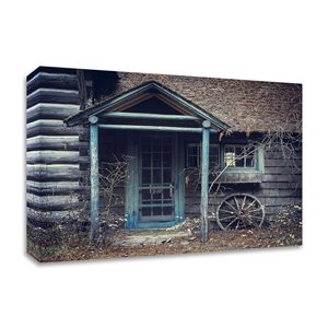 Tangletown Fine Art “Door to the Past” Frameless 16-in H x 20-in W Photography Canvas Print