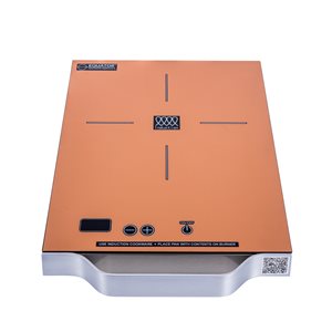Equator Advanced Appliances PIC 100 11-in 1 Element Copper Induction Cooktop Downdraft Exhaust