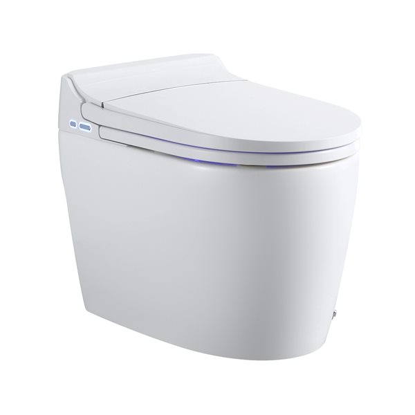ecoway titandt300 smart bidet toilet