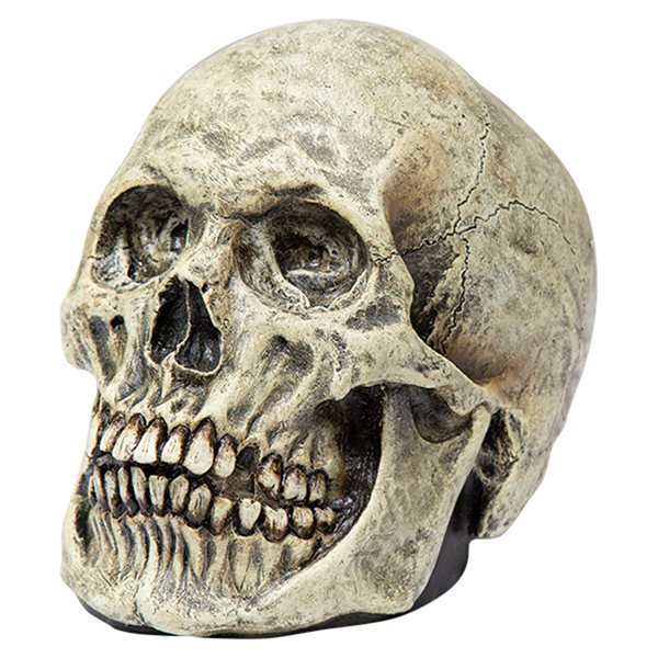 Crâne Déco Halloween