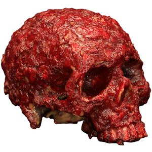 Ghoulish Productions Bloody Scab Skull Halloween Decoration