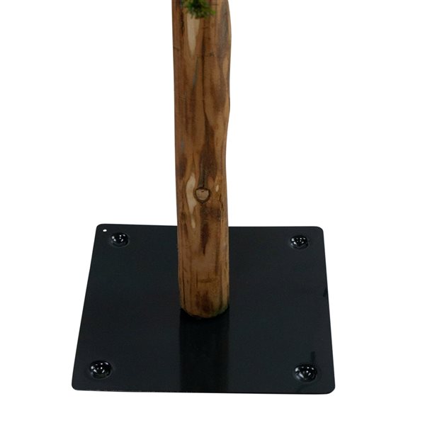 Northlight 6-ft Pre-Lit Slim Alpine Artificial Christmas Trees - Set of 3