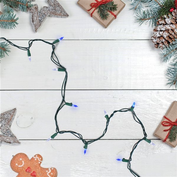 Northlight Set of 100 Blue and White LED Mini Christmas Lights - Green Wire