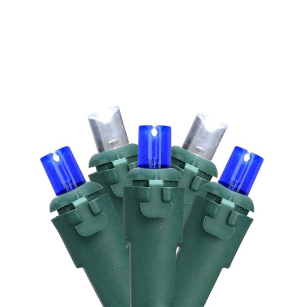 Northlight 50 Blue and White LED Wide Angle Mini Christmas Lights - 16.25-ft Green Wire