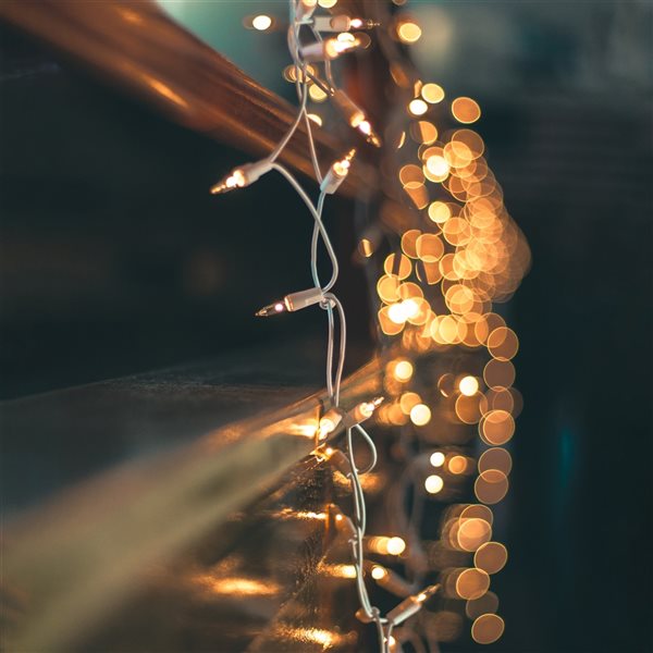 Northlight 100-Count Clear Mini Christmas Light Set - 20.25-ft White Wire