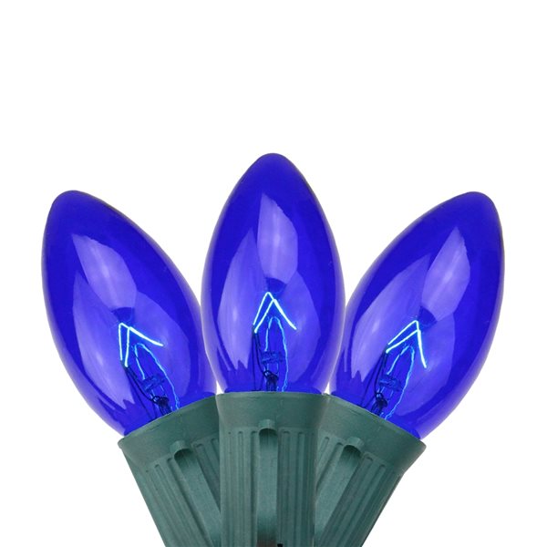 Northlight 25 Blue Transparent C9 Christmas Lights - 24-ft Green Wire