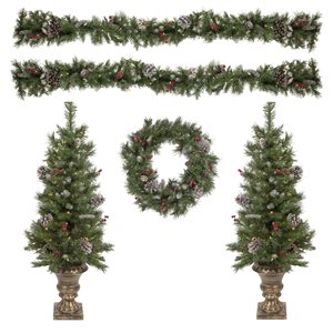 Northlight 5-Piece Pre-Lit Frosted Verona Berry Pine Artificial Christmas Entryway Set