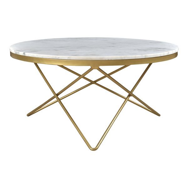 Moe's Home Collection Haley White Marble Coffee Table with Brass Iron ...