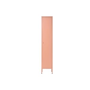 FurnitureR Wimmer 13.8-in W Pink Metal Armoire
