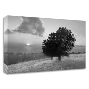 Tangletown Fine Art "Spitler Knoll Overlook" by Winthrope Hiers Frameless 14-in H x 21-in W Canvas Print
