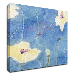 Tangletown Fine Art "White Poppy" by Sheila Golden Frameless 24-in H x 24-in W Canvas Print
