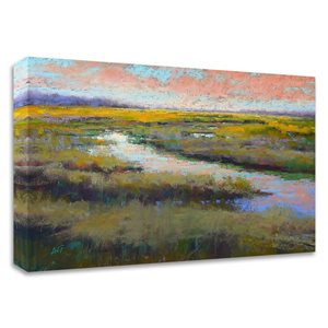 Tangletown Fine Art "A Glimmer on the Marsh" by Alejandra Gos Frameless 24-in H x 30-in W Canvas Print