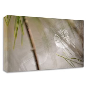 Tangletown Fine Art "Abstract by the River" by Ulpi Gonzalez Frameless 14-in H x 21-in W Canvas Print