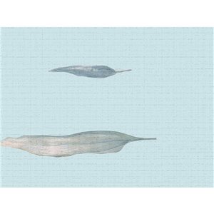 Dundee Deco 7-in Blue Self-Adhesive Wallpaper Border