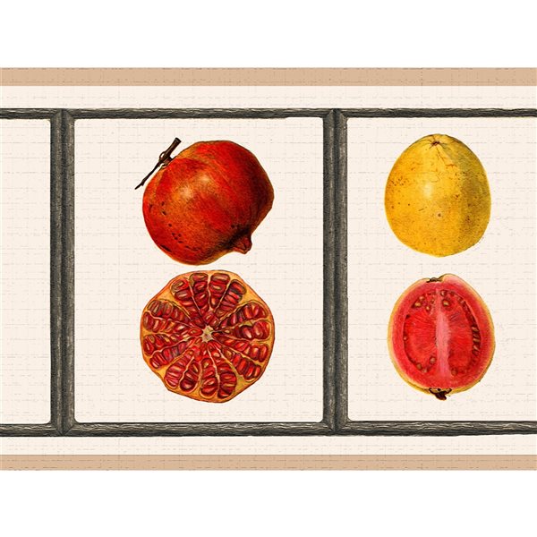 Dundee Deco 7-in Green Yellow Self-Adhesive Wallpaper Border