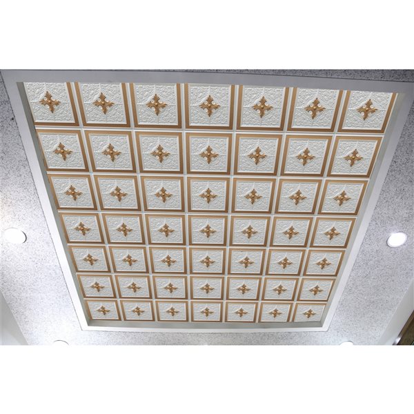 Tuiles de plafond Dundee Deco Falkirk Perth florales blanc nacré et or de 24 po x 24 po à installation en surface, paquet d…