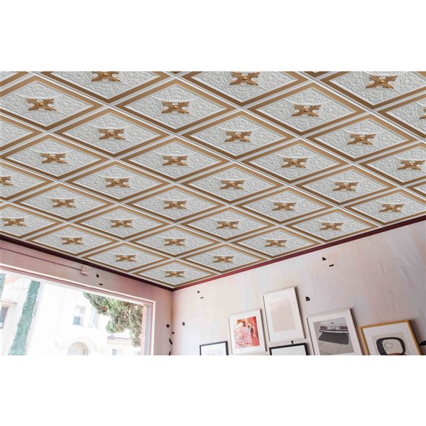 Tuiles de plafond Dundee Deco Falkirk Perth florales blanc nacré et or de 24 po x 24 po à installation en surface, paquet d…