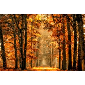 Dundee Deco Falkirk Airdrie 142-in x 106-in Orange Brown "Autumn Forest" Unpasted Wall Mural