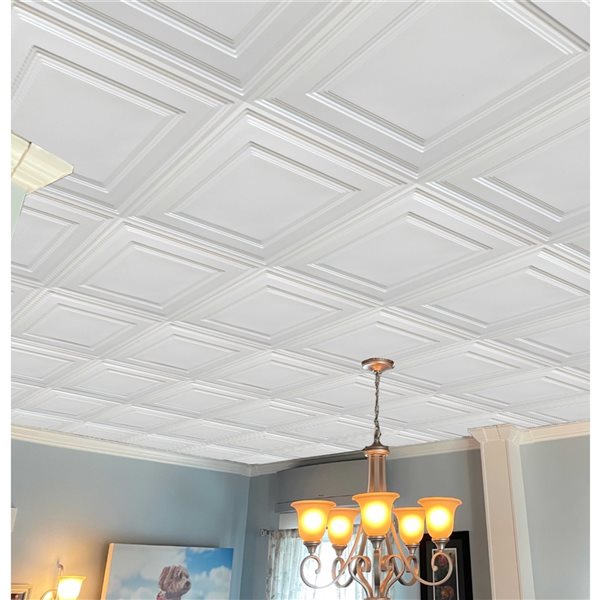 Dundee Deco Falkirk Perth 24-in x 24-in Modern Traditional Pearl White Drop Panel Ceiling Tiles - 25-Pack