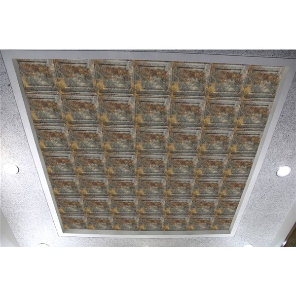 Dundee Deco Falkirk Perth 24-in x 24-in Traditional Simply Rustic Drop Panel Ceiling Tiles - 50-Pack