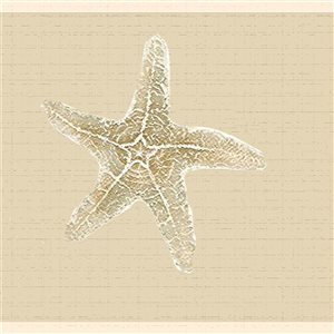 Dundee Deco Nautical Cream Beige Seahorse Shells Starfish Peel and Stick Wallpaper Border