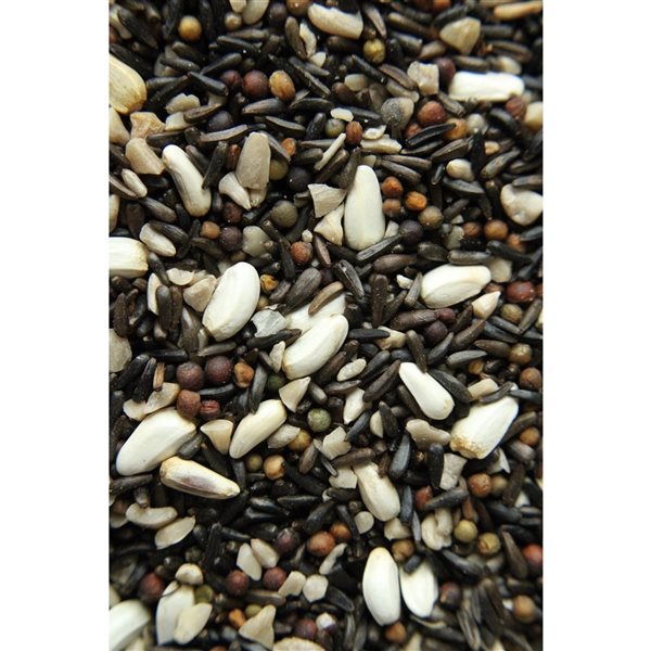 Pick of the Birds 4-kg Songbird Seed