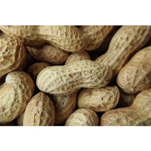 Pick of the Birds 4-kg In-Shell Peanuts