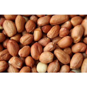 Pick of the Birds 4-kg Raw Shelled Peanuts